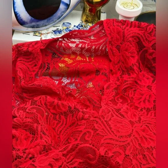🆕 ALEXANDRA MIRO 🧿 NWOT Kara Long Boylen Sleeve Kaftan, Red Lace - Sz XS - Picture 13 of 14